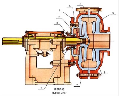 橡膠內(nèi)襯渣漿泵內(nèi)部結(jié)構(gòu).jpg